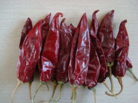 American red chili